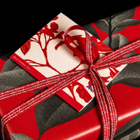 Elegant Folded Illustration Greeting Card